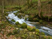 Steinbach - Entlang dem Bachlauf